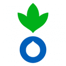Grants & Program Officer