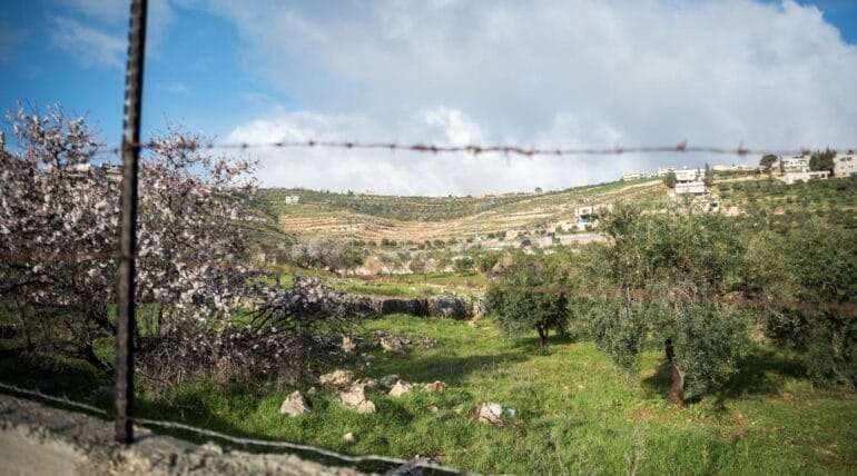 Consultation focuses on understanding Christian Zionism and its effects